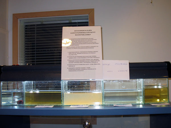 Akvaariopäivät 2008, kalojen eläviä ruokaeliöitä